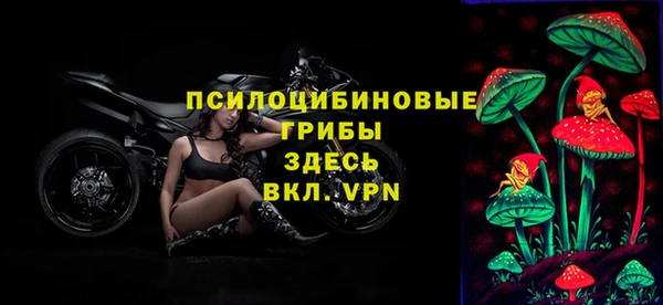 дживик Михайловск