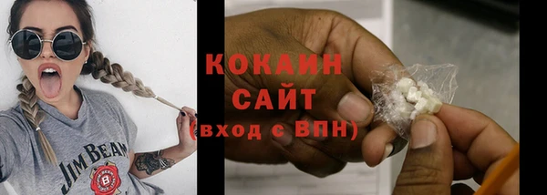 твердый Михайлов