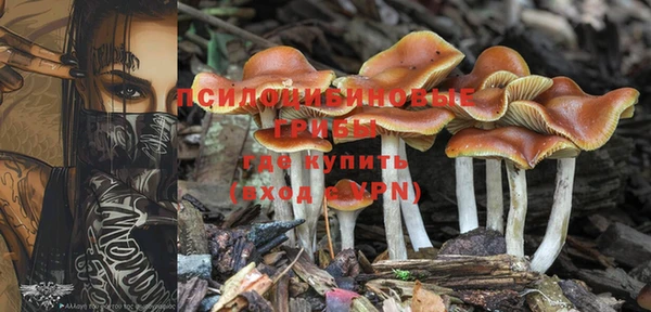 дживик Михайловск