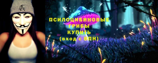 твердый Михайлов