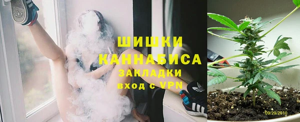 дживик Михайловск